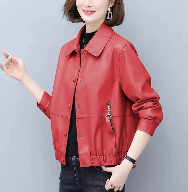 ce3119be3a1ee9dff8ab6f9743357003