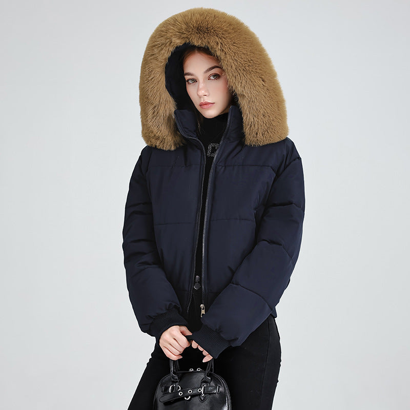Women's Hooded Fur Collar Cotton-padded Clothes With Design Sense