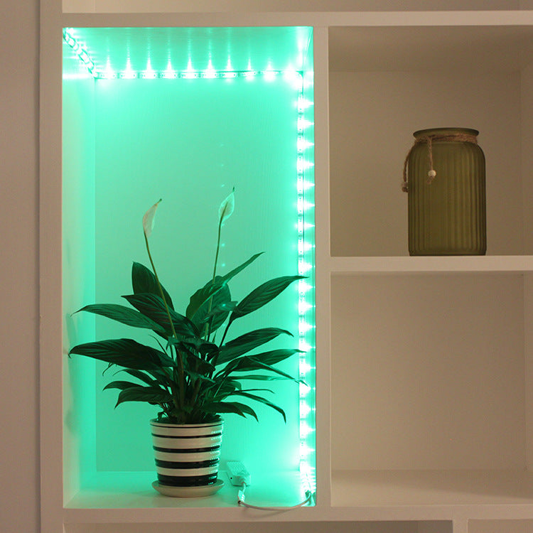 Human Body Induction Light Bar Wardrobe Corridor Toilet Light Belt