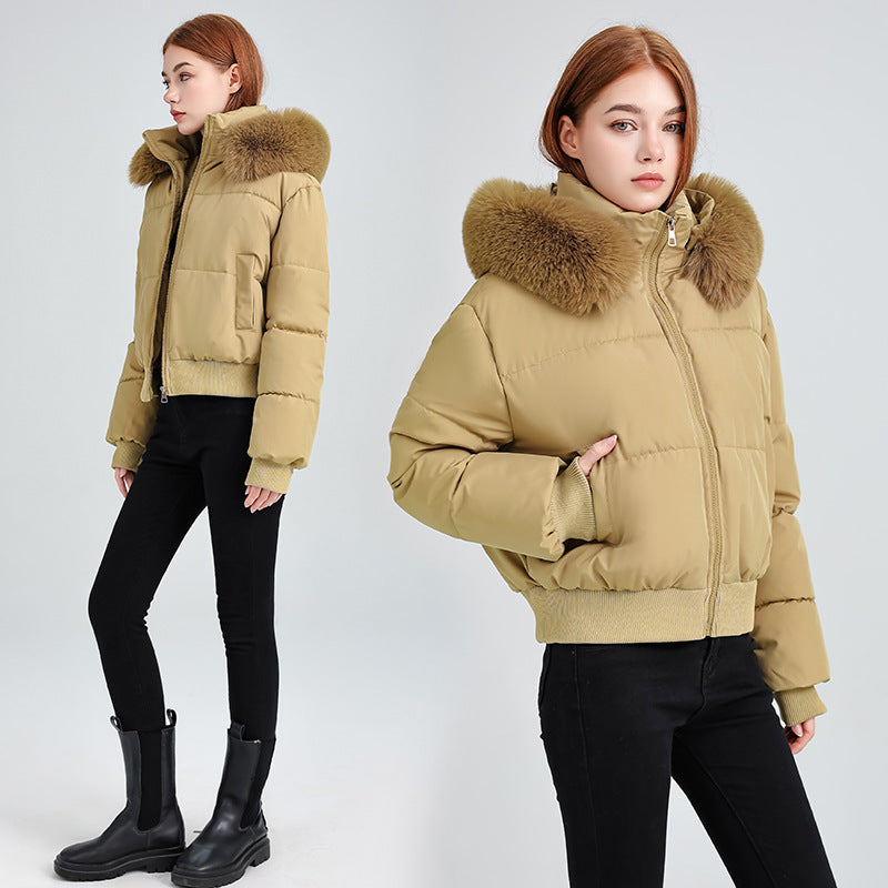 Women's Hooded Fur Collar Cotton-padded Clothes With Design Sense