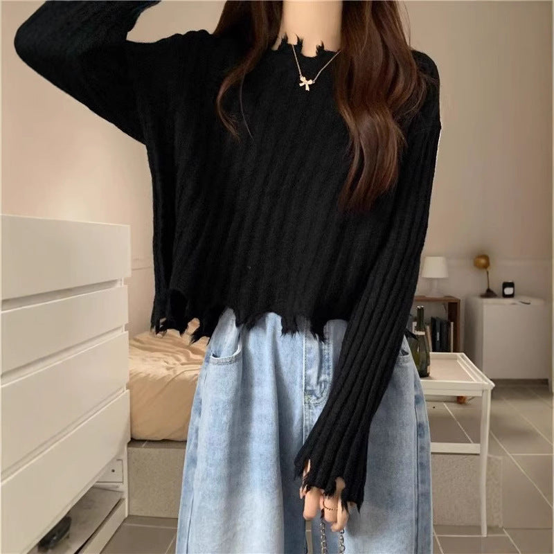 Sweater Women's Outer Design Short Top